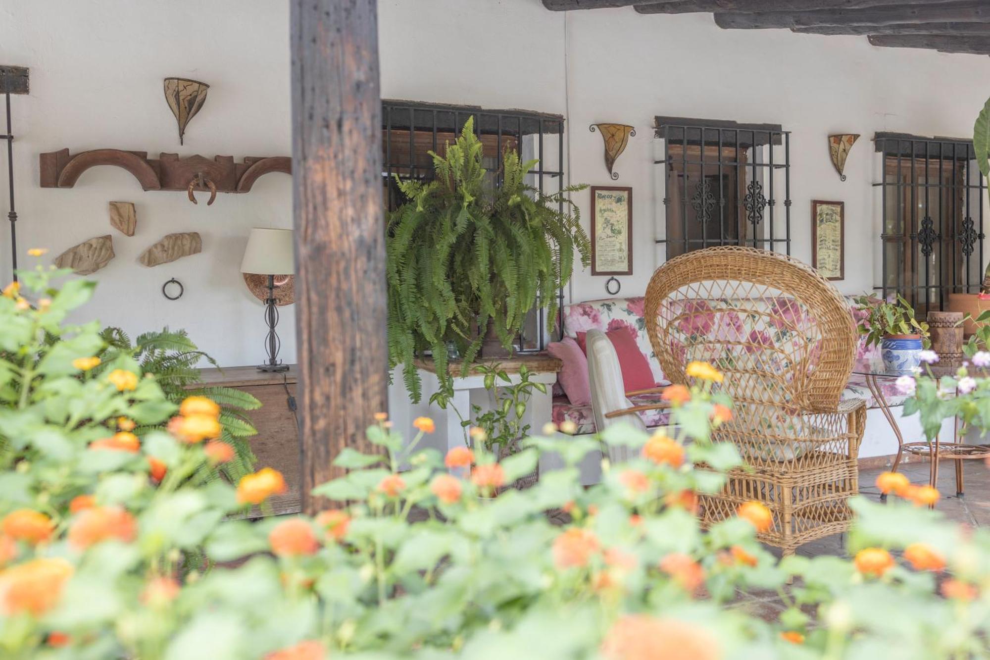 La Cuadra, Finca A Los Pies De Sierra Nevada, A 10 Minutos Del Centro, Piscina, Jardin, Barbacoa La Zubia  Ngoại thất bức ảnh