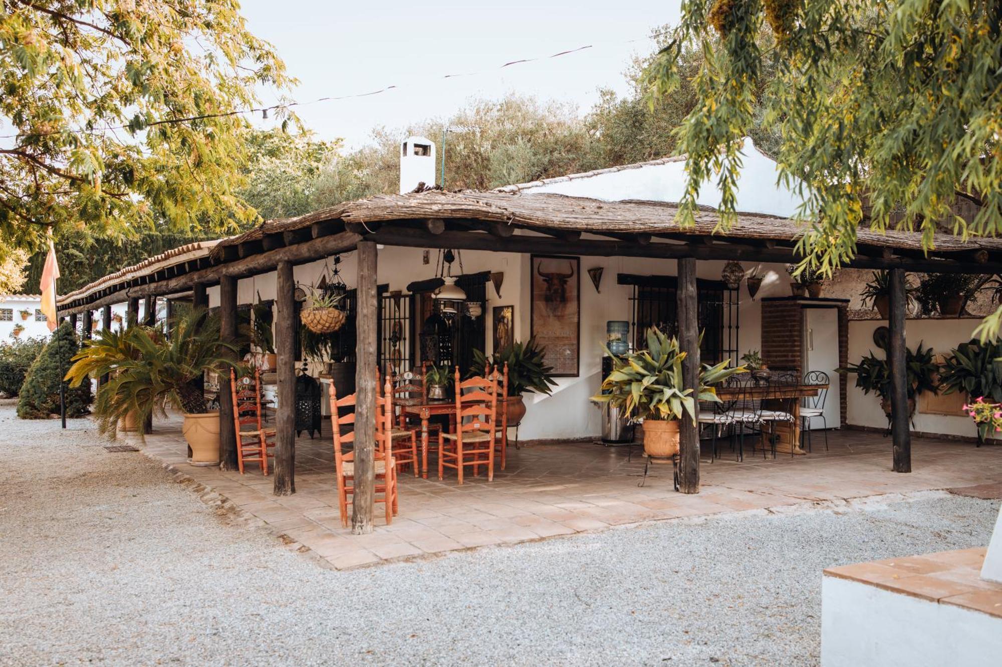 La Cuadra, Finca A Los Pies De Sierra Nevada, A 10 Minutos Del Centro, Piscina, Jardin, Barbacoa La Zubia  Ngoại thất bức ảnh