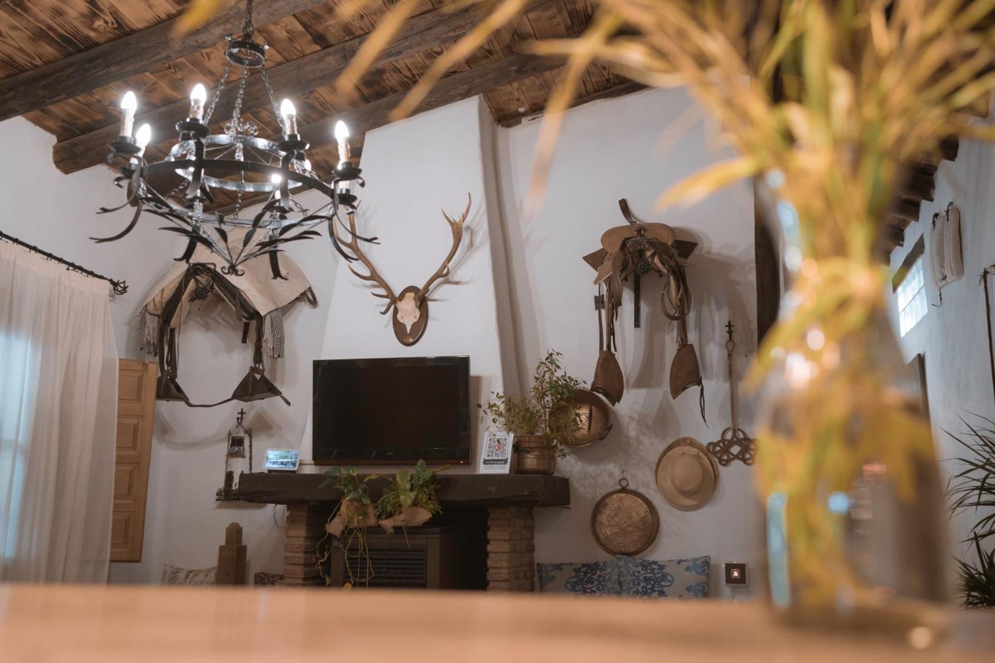 La Cuadra, Finca A Los Pies De Sierra Nevada, A 10 Minutos Del Centro, Piscina, Jardin, Barbacoa La Zubia  Ngoại thất bức ảnh