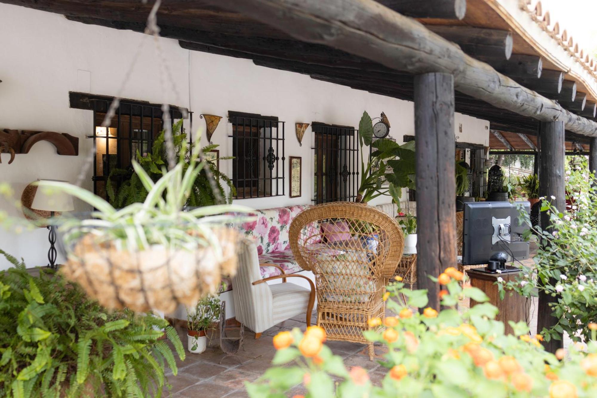 La Cuadra, Finca A Los Pies De Sierra Nevada, A 10 Minutos Del Centro, Piscina, Jardin, Barbacoa La Zubia  Ngoại thất bức ảnh
