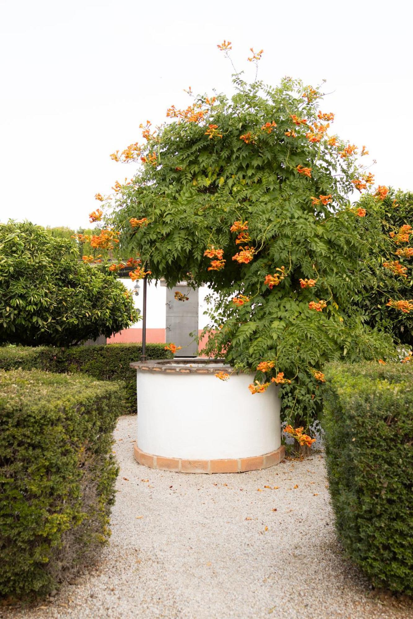 La Cuadra, Finca A Los Pies De Sierra Nevada, A 10 Minutos Del Centro, Piscina, Jardin, Barbacoa La Zubia  Ngoại thất bức ảnh
